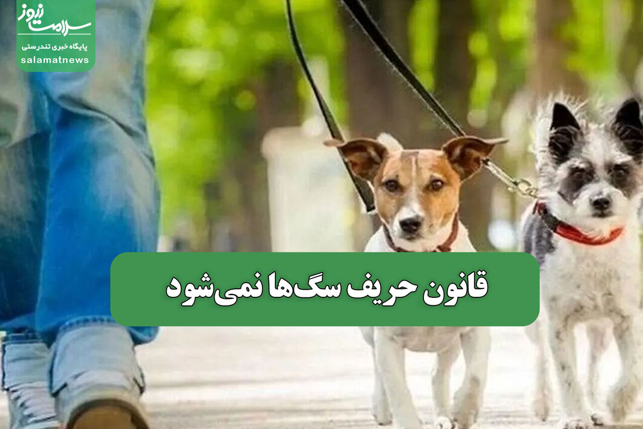 قانون حریف سگها نمیشود – سلامت نیوز