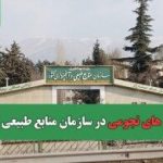 ضرورت شفاف سازی فیش های نجومی برای اقناع  افکار عمومی و جنگلبانان/ لزوم توجه دولت به نیروها در دورافتاده ترین نقاط