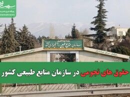 ضرورت شفاف سازی فیش های نجومی برای اقناع افکار عمومی و جنگلبانان/ لزوم توجه دولت به نیروها در دورافتاده ترین نقاط