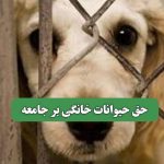 حق حیوانات خانگی بر جامعه
