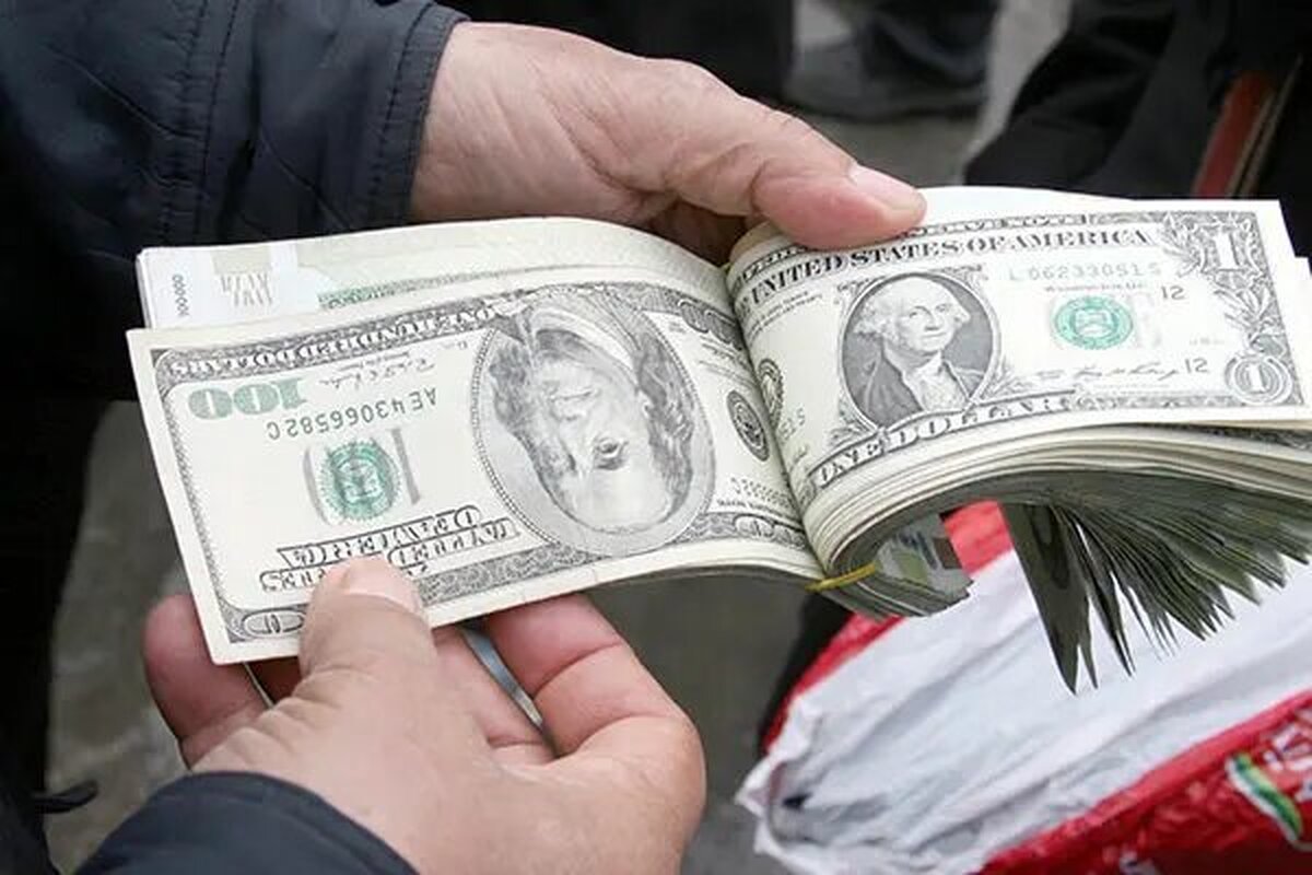 پشت پرده قیمت دلاری بازار مسکن بدون نظارت ملک و اجارهبها