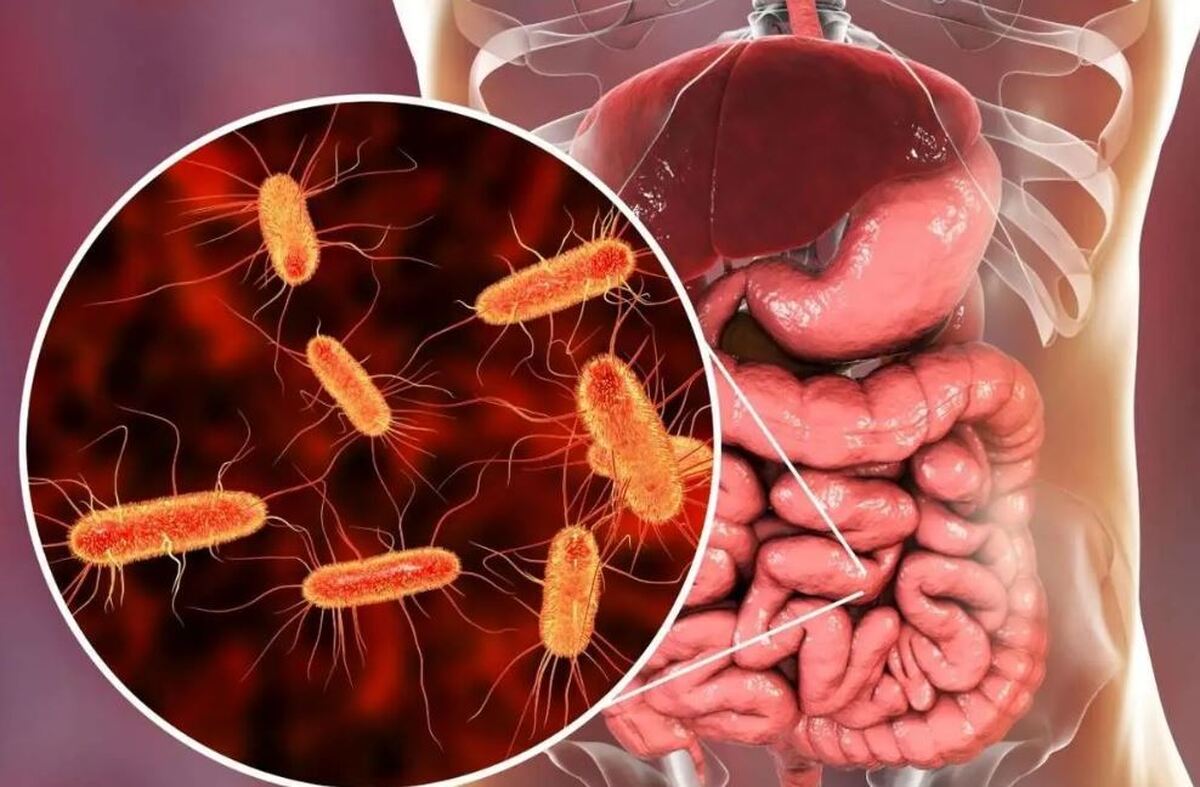 هفت عادت مخرب برای سلامت روده