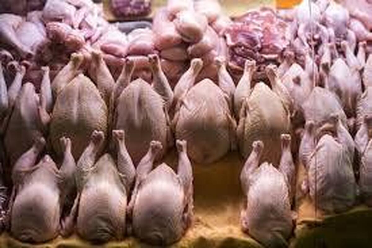 تمهیدات وزارت کشاورزی برای تنظیم بازار گوشت و مرغ