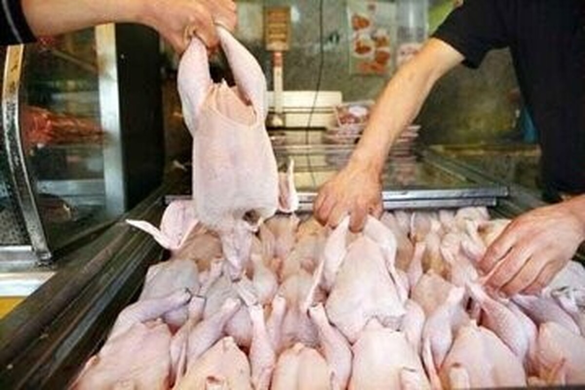 روزانه ۱۵۰۰ تن مرغ در تهران توزیع میشود