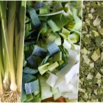 چگونه تره فرنگی تازه را در کمترین زمان خشک کنیم؟