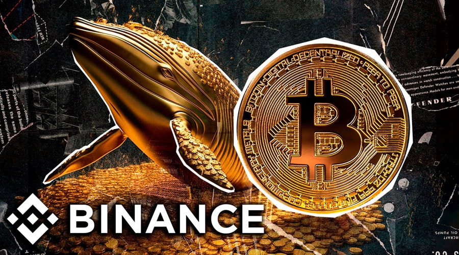 افزایش فعالیت نهنگها، نقدینگی بالا و فورک جدید؛ تحلیلگران از چشمانداز ۹۰۰ دلاری BNB میگویند!