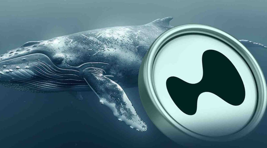 هایپرلیکویید با حمایت نهنگها رکورد زد! قیمت HYPE تا کجا اوج میگیرد؟