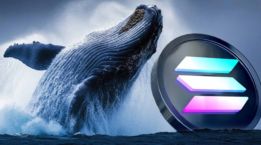 چراغ قرمز SEC به نهنگ سولانا؛ پیشنهاد خرید ۱ میلیارد دلار SOL رد شد!