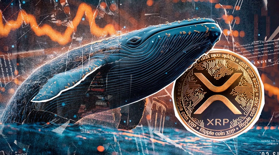 انباشت ۱۹۰ میلیون XRP در یک هفته؛ نهنگها مانع سقوط به زیر ۲ دلار میشوند؟