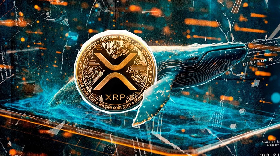 نهنگهای ریپل ۹۱۵ میلیون دلار XRP انباشت کردند! سیگنال صعود قریبالوقوع؟