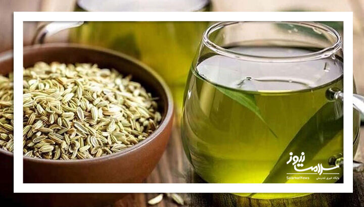 ۳ گیاه آرامبخشِ معده – سلامت نیوز
