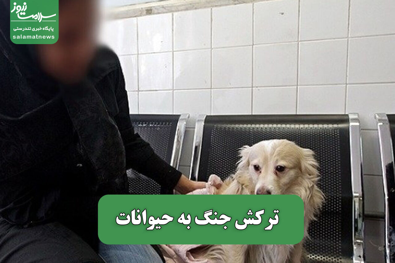 ترکش جنگ به حیوانات – سلامت نیوز