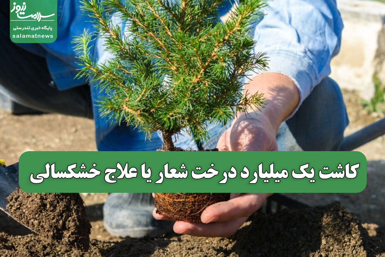 کاشت یک میلیارد درخت شعار یا علاج خشکسالی