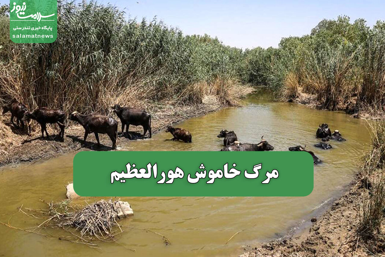 مرگ خاموش هورالعظیم – سلامت نیوز