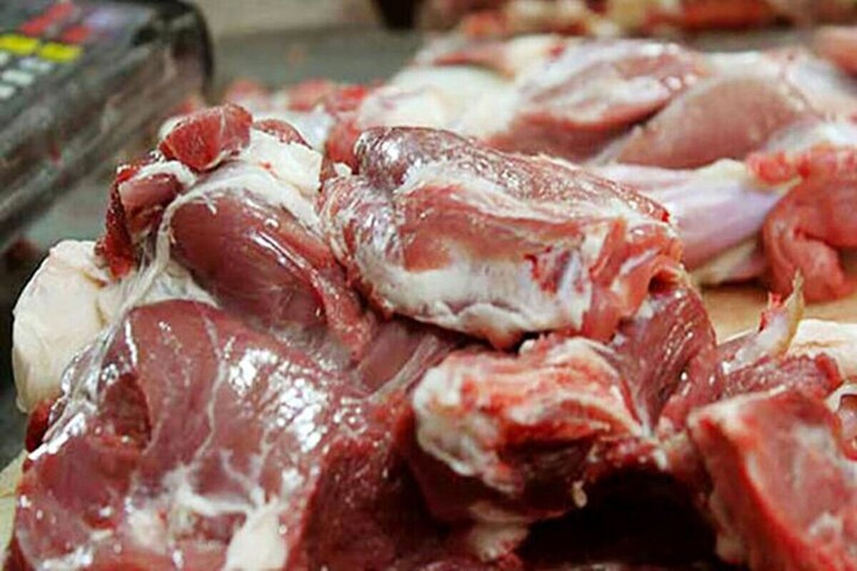 خبر خوش از بازار گوشت قرمز