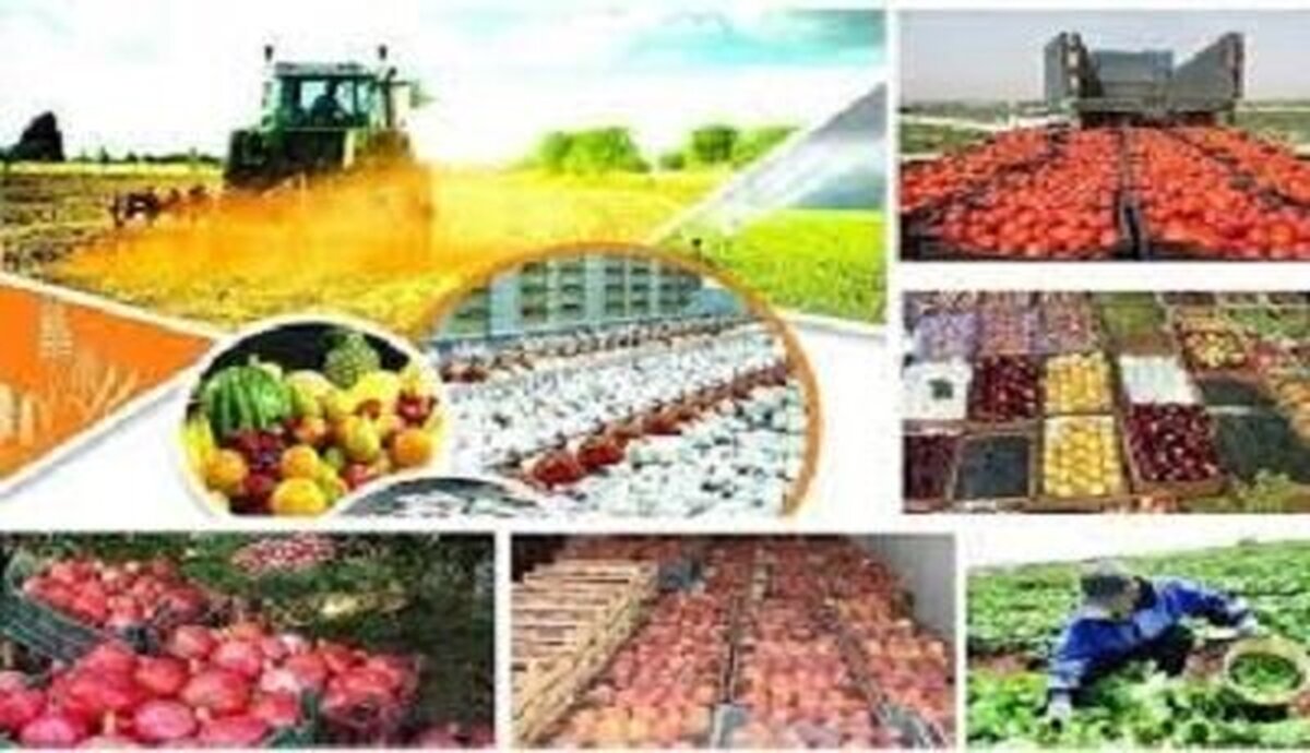 نرخ تورم در بخش کشاورزی کاهش یافت