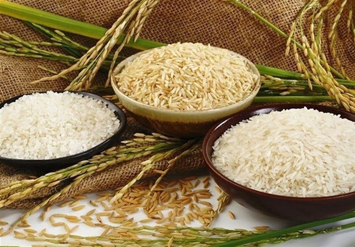 کاهش قیمت برنج در راه است؛ کی به مقصد میرسد!؟