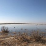 واکنش محیط زیست به وجود آرسنیک و سیانور در گردوغبار تهران