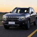 سگ بزرگ چینی برای مبارزه به میدان می‌آید
