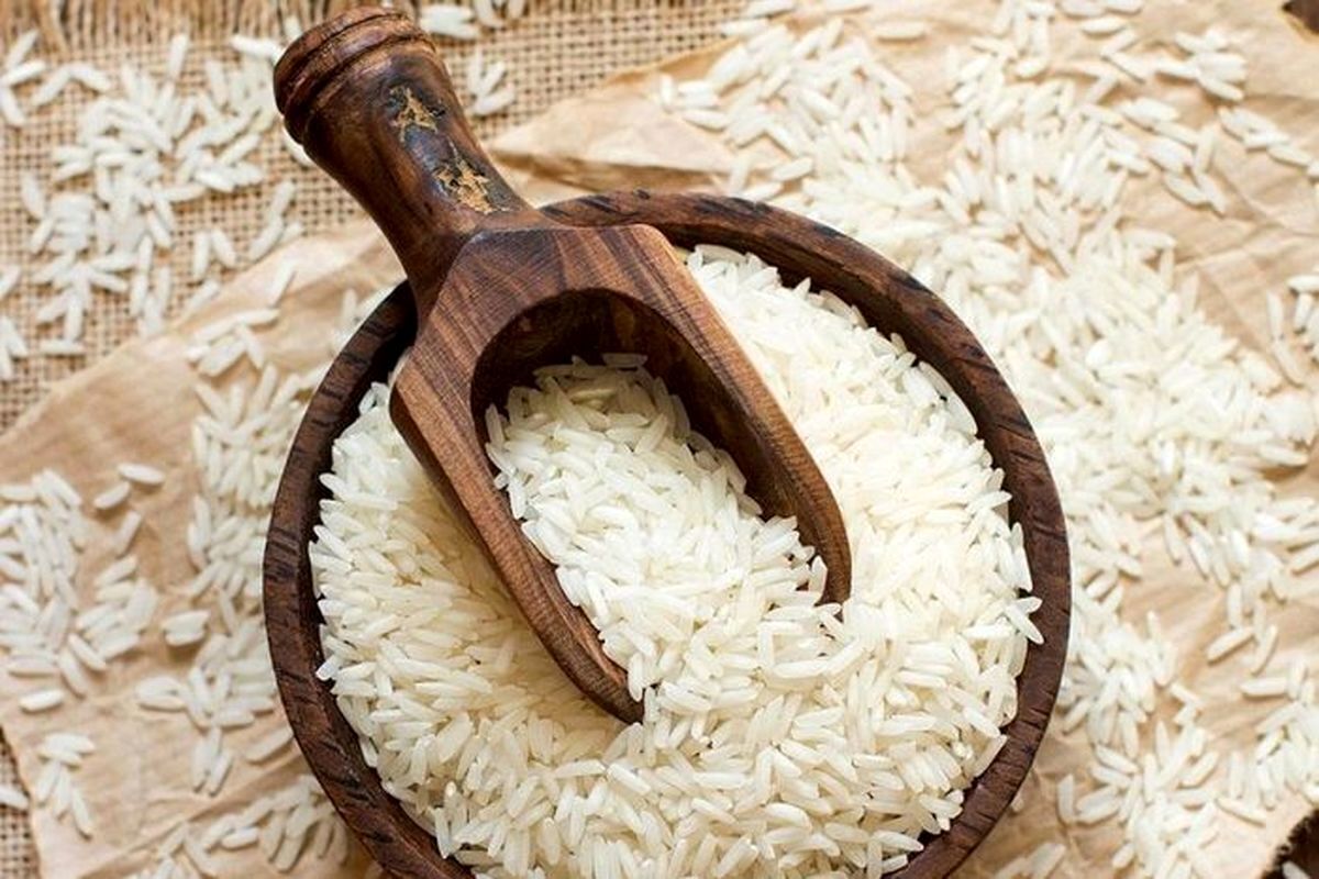 حمایت از تولیدکننده، کار مصرفکننده برنج را به اینجا کشاند!/ نوری قزلجه: منتظر فصل برداشت بمانید!