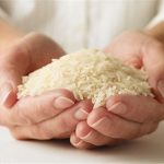 قیمت برنج ایرانی در حال کاهش است