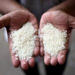 برنج ارزان می‌شود