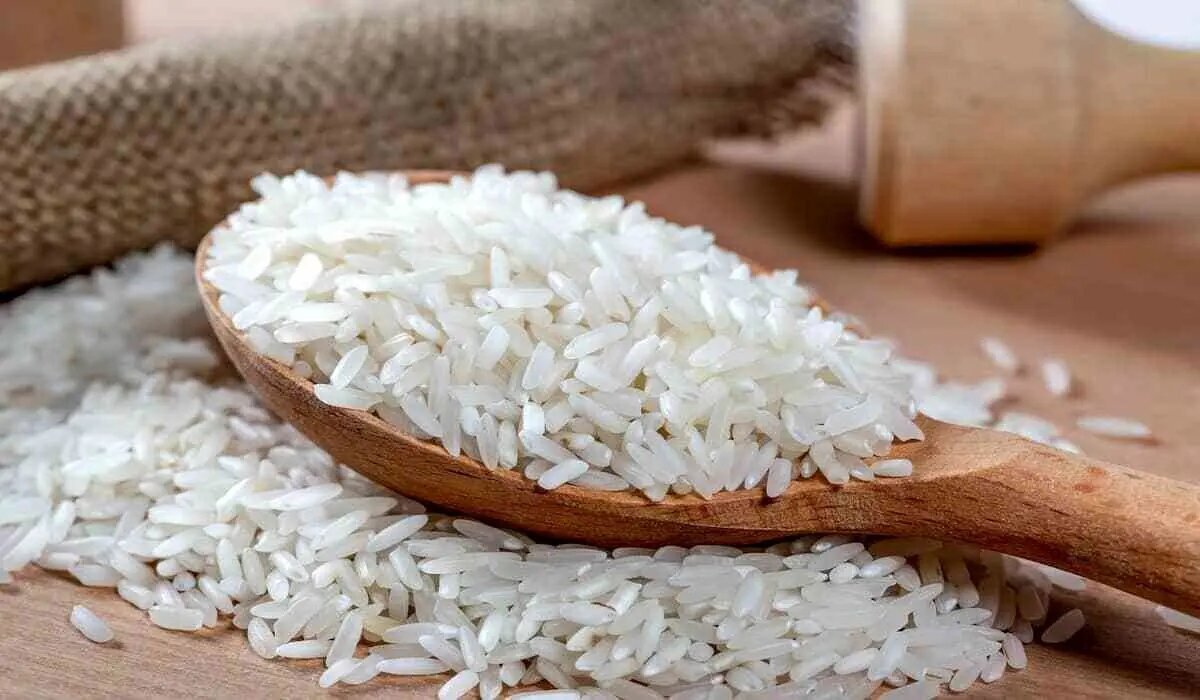 برنج آلوده نخورید/ چند روش ساده برای کاهش آرسنیک در برنج