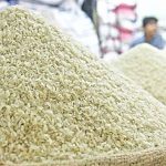 افزایش شدید واردات برنج بخاطر خشکسالی