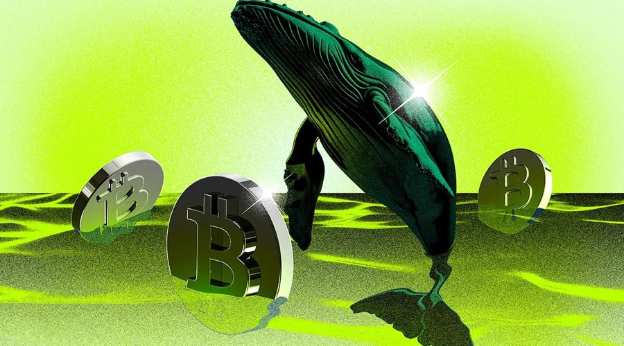 آیا آلت سیزن شروع شده است؟ سرنخهای تازه از رفتار نهنگهای بیتکوین