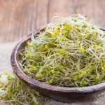 10 خاصیت شگفت‌انگیز جوانه کلم بروکلی و طریقه مصرف آن