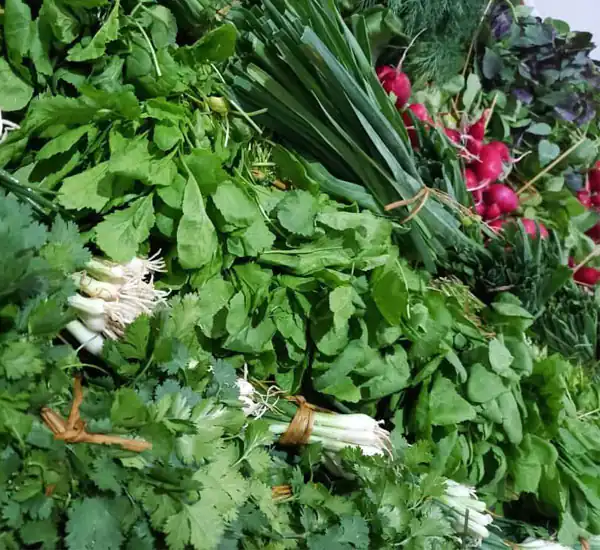 تعبیر خواب سبزی خوردن برای زن متاهل و باردار و دختر مجرد از روانشناسی