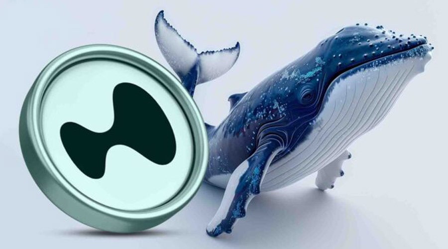 تلهای بزرگ برای فروشندگان هایپرلیکویید؛ نهنگها بیسروصدا مشغول انباشتند!