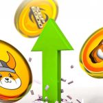 فلوکی و بونک در خط مقدم رشد! چرا بازار میم‌کوین‌ها دوباره داغ شده؟