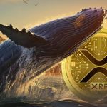 خیز سنگین نهنگ‌های ریپل همزمان با رالی ۲۶ درصدی؛ منتظر رکوردشکنی XRP باشیم؟