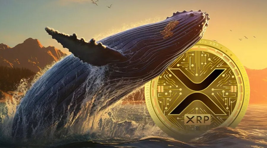 خیز سنگین نهنگ‌های ریپل همزمان با رالی ۲۶ درصدی؛ منتظر رکوردشکنی XRP باشیم؟