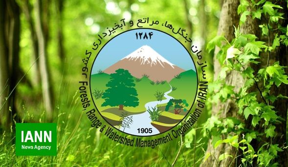 درخواست 126 استاد برجسته برای لغو انحلال سازمان منابع طبیعی و آبخیزداری کشور
