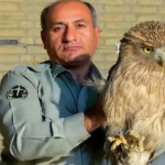 بالاخره دو متهم پرونده شهادت محیط‌بان «هدایت‌الله دیده‌بان» دستگیر شدند+ فیلم