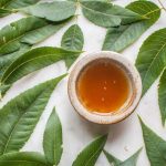 طرز تهیه دمنوش برگ گردو + بهترین زمان مصرف