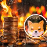 افزایش ۴۸ هزار درصدی نرخ توکن‌سوزی شیبا؛ قیمت SHIB آماده جهش بزرگ؟