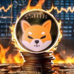 کوره‌های توکن‌سوزی شیبا از کار افتادند! SHIB در خطر اصلاح قیمت؟