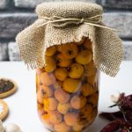 طرز تهیه ترشی زالزالک ساده و لیته+ نکات کپک نزدن