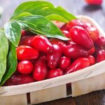 کالری زغال اخته چقدر است؟