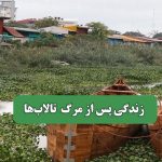 زندگی پس از مرگ تالاب‌ها