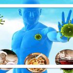 تغذیه بر علیه ویروس سرماخوردگی