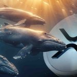 فشار فروش نهنگ‌های ریپل شدت گرفت! حمایت کلیدی ۲ دلار در خطر سقوط؟