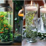 روش‌های ساده برای زیبا کردن گیاهان داخل آب