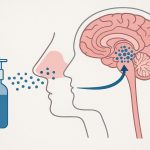 قطرهٔ بینی برای حذف تومورهای مغزی: انقلابی در درمان گلیوبلاستوما بدون نیاز به جراحی