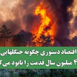 اقتصاد دستوری چگونه جنگلهایی با۴۰ میلیون سال قدمت را نابود می‌کند!