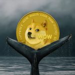 دوج کوین و تشکیل یک حمایت بسیار قوی توسط نهنگ‌ها!