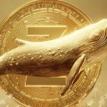 زی‌کش (ZEC)؛ نهنگ‌ها در کمین و دو سناریو برای قیمت!